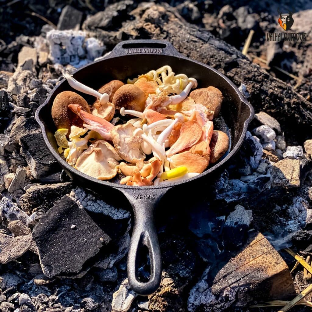 vh25-skillet-25cm-met-steel.1